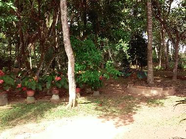 Holiday House in KALUTARA (Kalutara) or holiday homes and vacation rentals