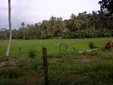 Local area surrounding