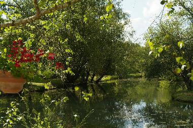 Chalet in SARLAT (Dordogne) or holiday homes and vacation rentals