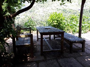 GARDEN - TABLE UNDER LEMON PERGOLA