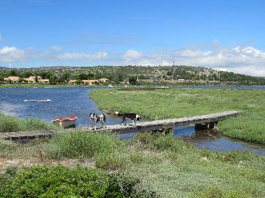 Holiday House in PORT FITOU (Aude) or holiday homes and vacation rentals