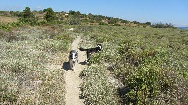 Holiday House in PORT FITOU (Aude) or holiday homes and vacation rentals