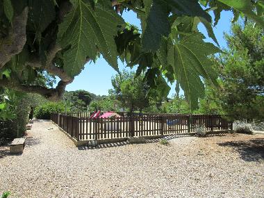 Holiday House in PORT FITOU (Aude) or holiday homes and vacation rentals