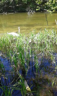 Holiday House in Krutyn (Warminsko-Mazurskie) or holiday homes and vacation rentals