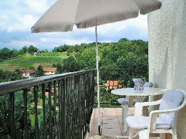 Holiday House in Tuheljske toplice (Krapinsko-Zagorska) or holiday homes and vacation rentals