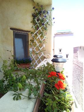 Holiday Apartment in Chania (Chania) or holiday homes and vacation rentals