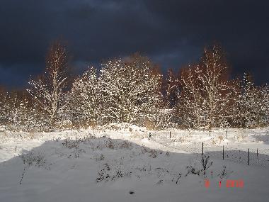 Holiday House in Ostseebad Prerow (Fischland-Dar-Zingst) or holiday homes and vacation rentals