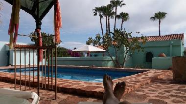 Holiday House in Moraira (Alicante / Alacant) or holiday homes and vacation rentals