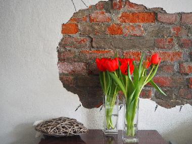 Holiday Apartment in Westkapelle (Zeeland) or holiday homes and vacation rentals