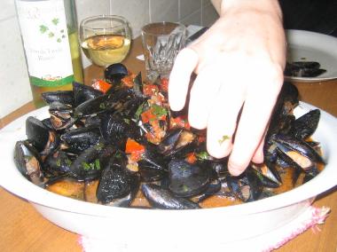 Holiday Apartment in Tirrenia (Pisa) or holiday homes and vacation rentals