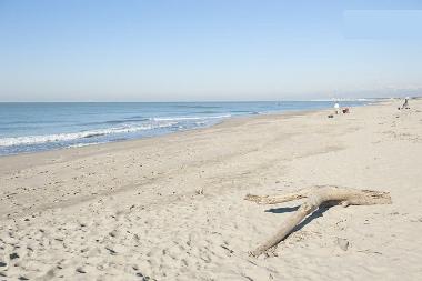 Holiday Apartment in Tirrenia (Pisa) or holiday homes and vacation rentals