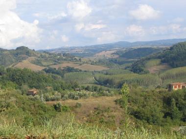 Holiday Apartment in Tirrenia (Pisa) or holiday homes and vacation rentals