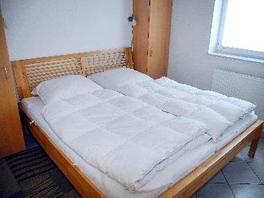 Holiday House in Friedrichskoog-Spitze (Nordsee-Festland) or holiday homes and vacation rentals