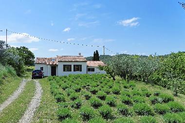 Holiday House in Venterol (Vaucluse) or holiday homes and vacation rentals