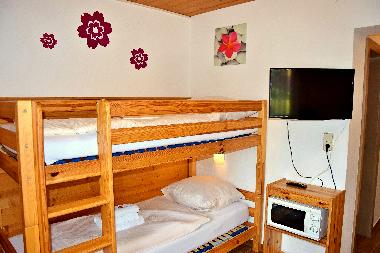 Holiday Apartment in Wildsch�nau (Tiroler Unterland) or holiday homes and vacation rentals