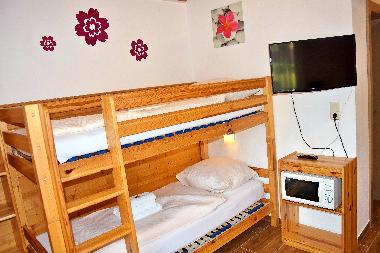 Holiday Apartment in Wildsch�nau (Tiroler Unterland) or holiday homes and vacation rentals