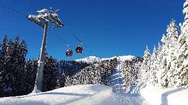 Holiday Apartment in Wildsch�nau (Tiroler Unterland) or holiday homes and vacation rentals