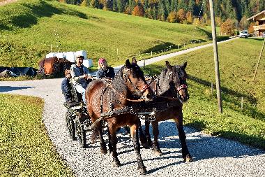 Holiday Apartment in Wildschnau (Tiroler Unterland) or holiday homes and vacation rentals
