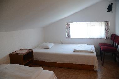 Villa in Golden Sands (Varna) or holiday homes and vacation rentals