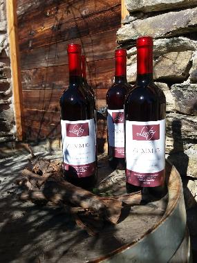 Holiday Apartment in Dorf Tirol  (Bolzano-Bozen) or holiday homes and vacation rentals