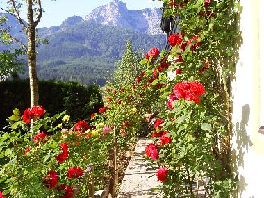 Holiday Apartment in Abtenau (Salzburg und Umgebung) or holiday homes and vacation rentals