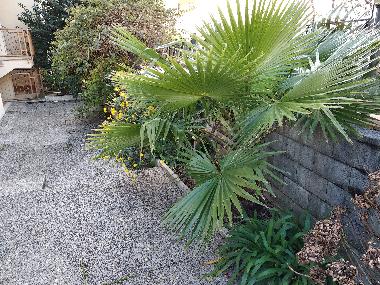 Holiday Apartment in Platja d