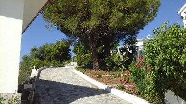Villa in Peniscola (Valencia / Val�ncia) or holiday homes and vacation rentals