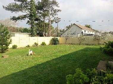 Holiday House in Denneville-Plage (Manche) or holiday homes and vacation rentals