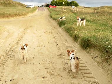 Holiday House in Denneville-Plage (Manche) or holiday homes and vacation rentals