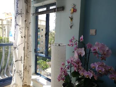 Holiday Apartment in Tel Aviv (Tel Aviv) or holiday homes and vacation rentals