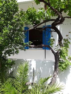 Holiday House in Matala (Irakleio) or holiday homes and vacation rentals