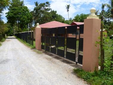 Bed and Breakfast in S�nchez  (Samana) or holiday homes and vacation rentals