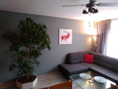 Holiday Apartment in Tomaszow-Mazowiecki (Lodzkie) or holiday homes and vacation rentals