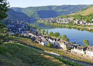 Holiday Apartment in Zell Mosel (Mosel - Saar) or holiday homes and vacation rentals