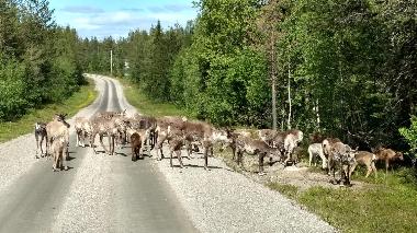 Holiday House in Lansj�rv �nges� (Norrbotten) or holiday homes and vacation rentals