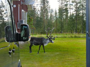 Holiday House in Lansj�rv �nges� (Norrbotten) or holiday homes and vacation rentals