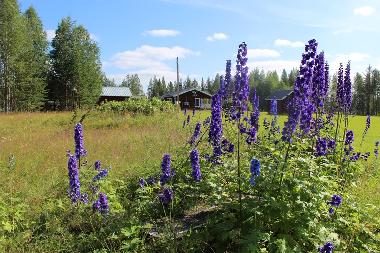Holiday House in Lansjrv nges Aspberg (Norrbotten) or holiday homes and vacation rentals