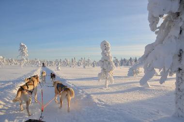 Holiday House in Lansjrv nges Aspberg (Norrbotten) or holiday homes and vacation rentals