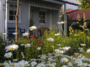 Holiday Apartment in Amtzell (Lake of Constance) or holiday homes and vacation rentals