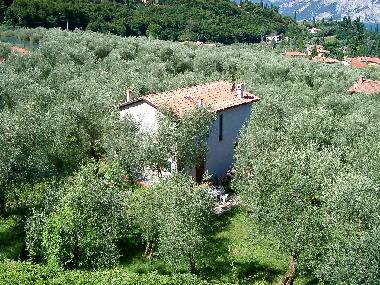 Holiday Apartment in Malcesine  (Verona) or holiday homes and vacation rentals