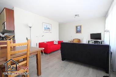Holiday Apartment in Noordwijk (Zuid-Holland) or holiday homes and vacation rentals