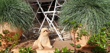 Holiday House in Cala Romantica (Mallorca) or holiday homes and vacation rentals