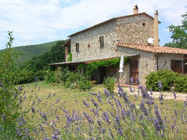 the farmhouse