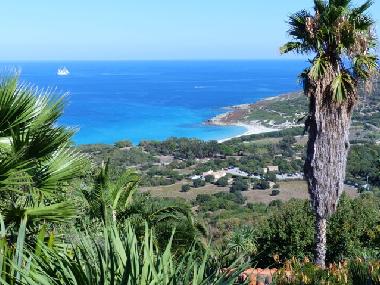 Holiday Apartment in Corbara  (Haute-Corse) or holiday homes and vacation rentals