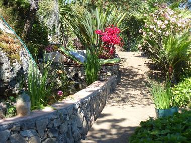 Holiday Apartment in Corbara  (Haute-Corse) or holiday homes and vacation rentals