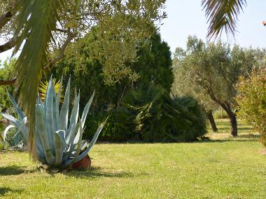 Villa in Psakoudia (Chalkidiki) or holiday homes and vacation rentals