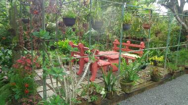 Holiday House in hikkaduwa (Galle) or holiday homes and vacation rentals