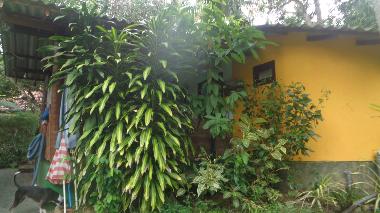 Holiday House in hikkaduwa (Galle) or holiday homes and vacation rentals