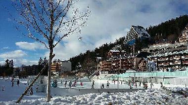 Holiday Apartment in Crans-Montana (Crans-Montana) or holiday homes and vacation rentals