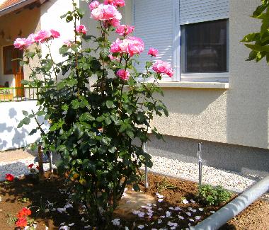 Holiday House in B�kf�rdő (Vas) or holiday homes and vacation rentals